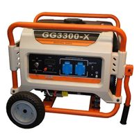 Генератор бензиновый REG PG2.8-1-CX-AF-E3