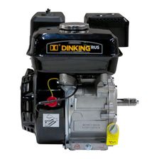Двигатель Dinking DK170F-1-ECO(S) - фото 3