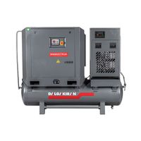 Электрический компрессор винтового типа DALGAKIRAN INVERSYS Plus 7-10-250D