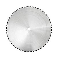 Алмазный диск Dr Schulze BS-WG  H10 52 segm. (900 мм)
